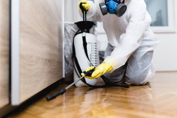 Best Pest Removal Services  in Shavano Park, TX