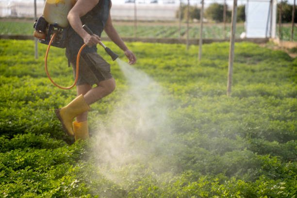 Best Commercial Pest Control Services  in Shavano Park, TX