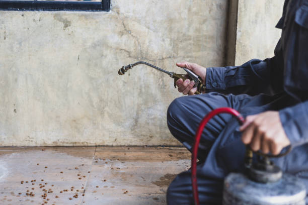 Best Best Pest Control Companies  in Shavano Park, TX